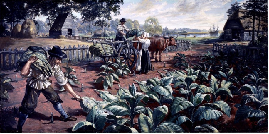 Enslaved workers in a tobacco field